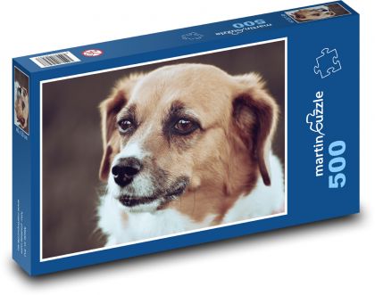 Dog - Puzzle of 500 pieces, size 46x30 cm 