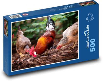 Kuře - pták - puzzle 500 dílků