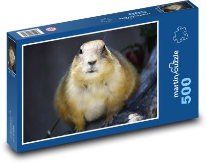 Pies preriowy - Puzzle 500 elementów, rozmiar 46x30 cm