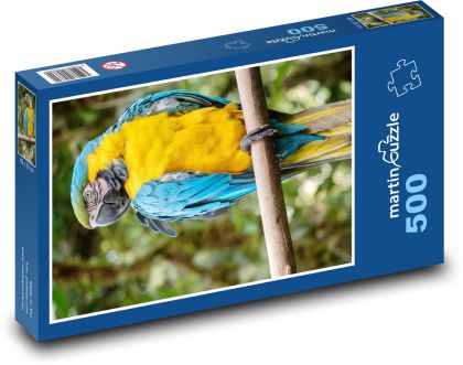 Parrot - Puzzle of 500 pieces, size 46x30 cm 