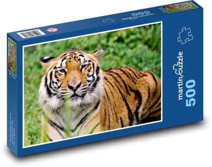 Säugetier - Tiger - Puzzle - 500 Teile