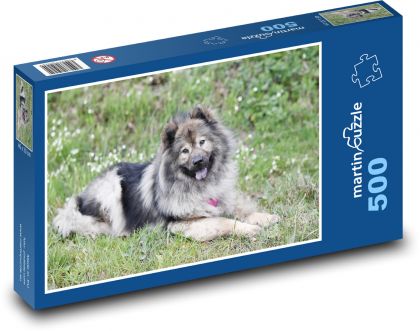 Dog - Eurasier - Puzzle of 500 pieces, size 46x30 cm 
