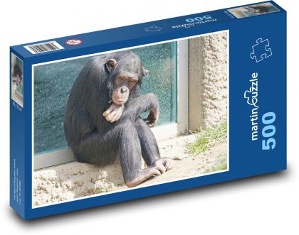 Monkey - chimpanzee - Puzzle of 500 pieces, size 46x30 cm 