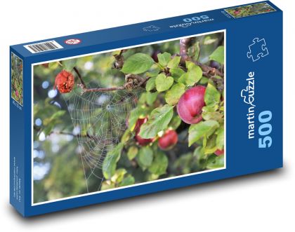 Apple Cobweb - Puzzle of 500 pieces, size 46x30 cm 