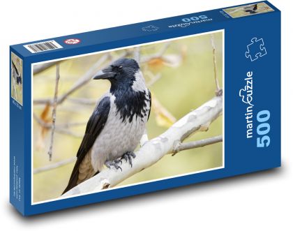Pták - vrána - puzzle 500 dílků
