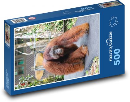 Orangutan - opica - Puzzle 500 dielikov, rozmer 46x30 cm 