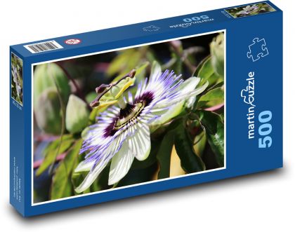 Kwiat męczennicy - Puzzle 500 elementów, rozmiar 46x30 cm