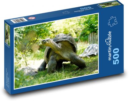 Riesenschildkröte - Puzzle - 500 Teile