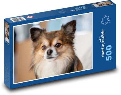 Čivava - pes - puzzle 500 dílků