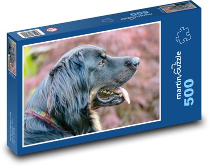 Hovawart - pes - Puzzle 500 dielikov, rozmer 46x30 cm 