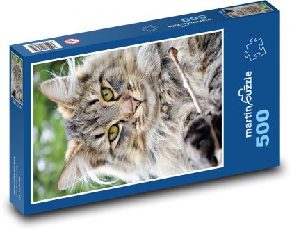 Kočka - puzzle 500 dílků