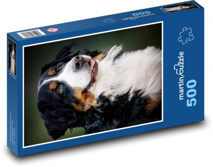 Bernese Mountain Dog - Puzzle of 500 pieces, size 46x30 cm 