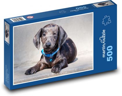 Jazvečík - šteniatko - Puzzle 500 dielikov, rozmer 46x30 cm 