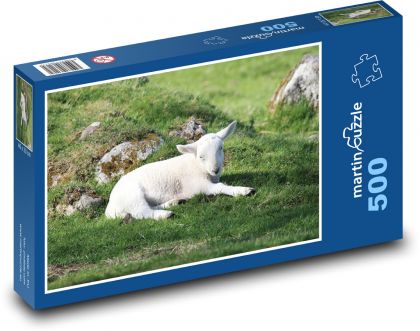 Lamb - Sheep - Puzzle of 500 pieces, size 46x30 cm 