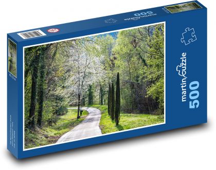 Park - road - Puzzle of 500 pieces, size 46x30 cm 