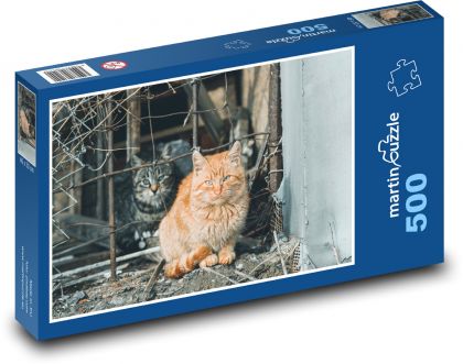 Túlavé mačky - Puzzle 500 dielikov, rozmer 46x30 cm 