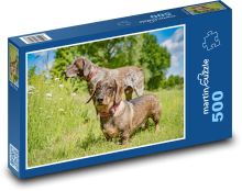 Langhaariger Dackel Puzzle 500 Teile - 46 x 30 cm