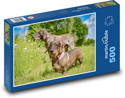 Długowłosy jamnik - Puzzle 500 elementów, rozmiar 46x30 cm