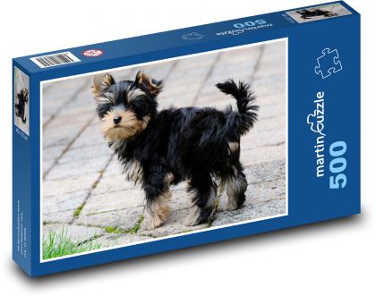 Yorkshire Terrier - Hund - Puzzle - 500 Teile