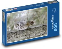 Ptak drapieżny - sowa Puzzle 500 elementów - 46x30 cm