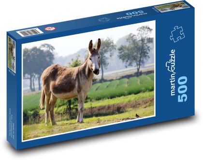 Tier - Esel - Puzzle - 500 Teile