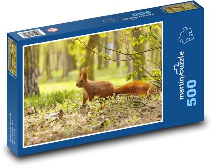 Squirrel - rodent - Puzzle of 500 pieces, size 46x30 cm 