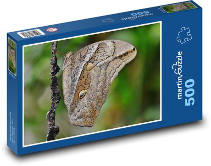 Motýl - hmyz - puzzle 500 dílků