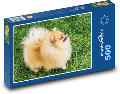 Pies - Niemiecki Spitz - Puzzle 500 elementów, rozmiar 46x30 cm