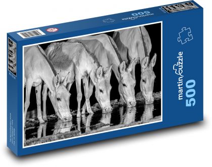 Voľne žijúce zvieratá - Puzzle 500 dielikov, rozmer 46x30 cm 