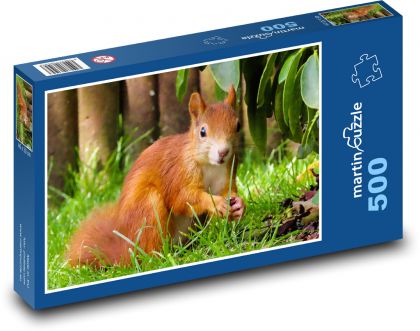 Veverka - hlodavec - puzzle 500 dílků