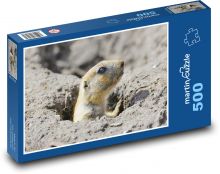 Černoocasý prérijní pes Puzzle 500 - 46x30 cm