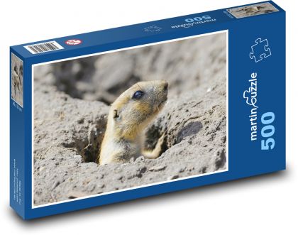 Black-Tailed Prairie Dog - Puzzle of 500 pieces, size 46x30 cm 