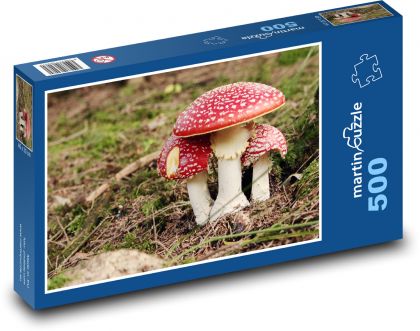 Pilze - Pilze - Puzzle - 500 Teile