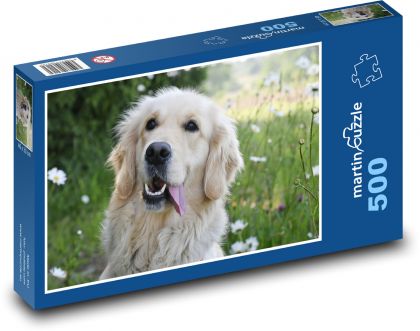 Golden Retriever - Dog - Puzzle of 500 pieces, size 46x30 cm 