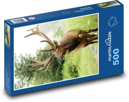 Hirsche - Wildtiere - Puzzle - 500 Teile