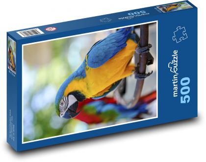 Pták - papoušek - Puzzle 500 dílků, rozměr 46x30 cm