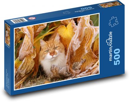 Kot - zwierzę domowe, jesień - Puzzle 500 elementów, rozmiar 46x30 cm