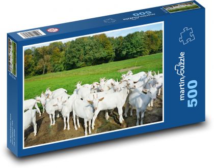 Bílé kozy na pastvě - puzzle 500 dílků