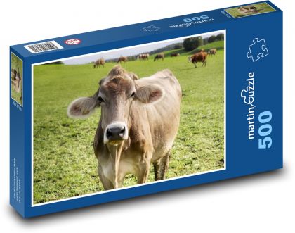 Krowa - bydło - Puzzle 500 elementów, rozmiar 46x30 cm