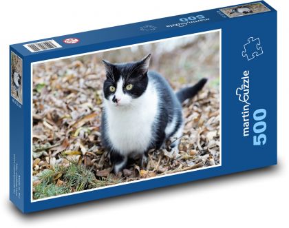 Autumn - cat - Puzzle of 500 pieces, size 46x30 cm 