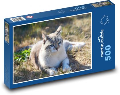 Streunende Katze - Puzzle - 500 Teile