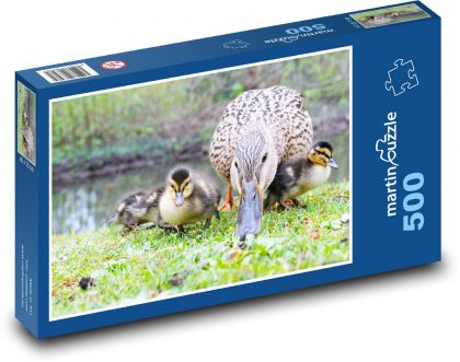 Wasservögel - Entenküken - Puzzle - 500 Teile