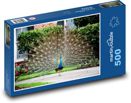 Vták - páv - Puzzle 500 dielikov, rozmer 46x30 cm 