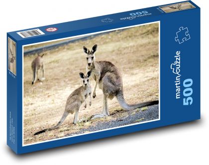 Klokani - Austrálie - puzzle 500 dílků