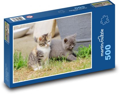 Koťata - kočky - puzzle 500 dílků