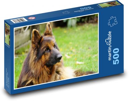 Owczarek domowy - Puzzle 500 elementów, rozmiar 46x30 cm