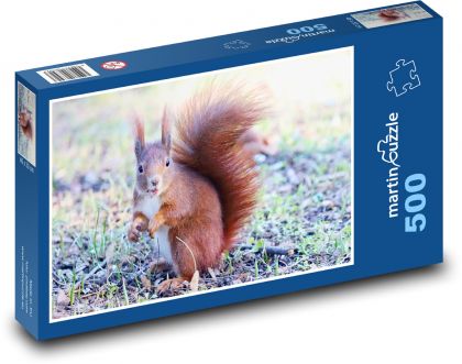 Animal - Squirrel - Puzzle of 500 pieces, size 46x30 cm 