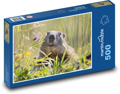 Alps - Marmots - Puzzle of 500 pieces, size 46x30 cm 
