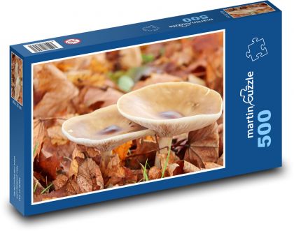 Houby - muchomůrka - puzzle 500 dílků