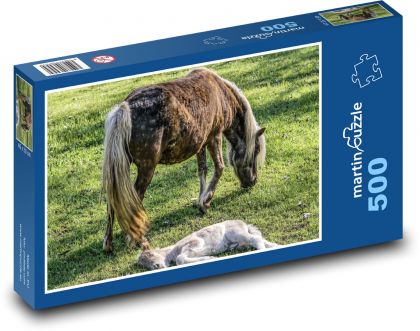 Klacz - źrebię - Puzzle 500 elementów, rozmiar 46x30 cm